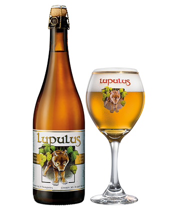 Lupulus Blonde - Bière triple