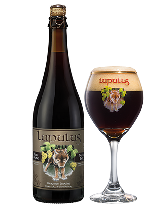 Lupulus Brune - Bruin bier