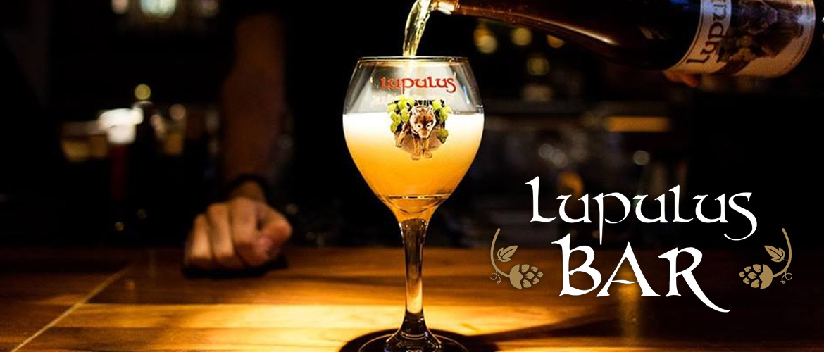Lupulus Bar