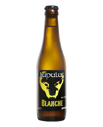 Blanche 33cl - Bière Blanche