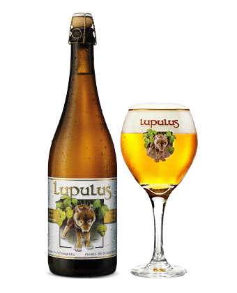 Lupulus Blonde - Tripel bier 
