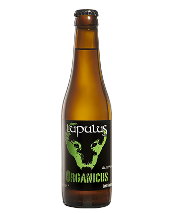 Organicus 33cl - Bière Triple Bio