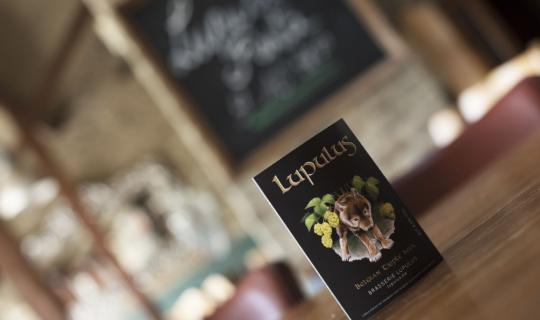 Brewery Lupulus - Belgian Beer - Lupulus bar Courtil